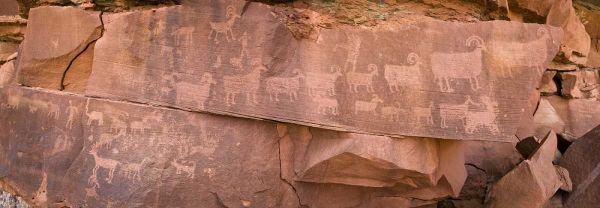 UT, Canyonlands NP Petroglyphs on rocks